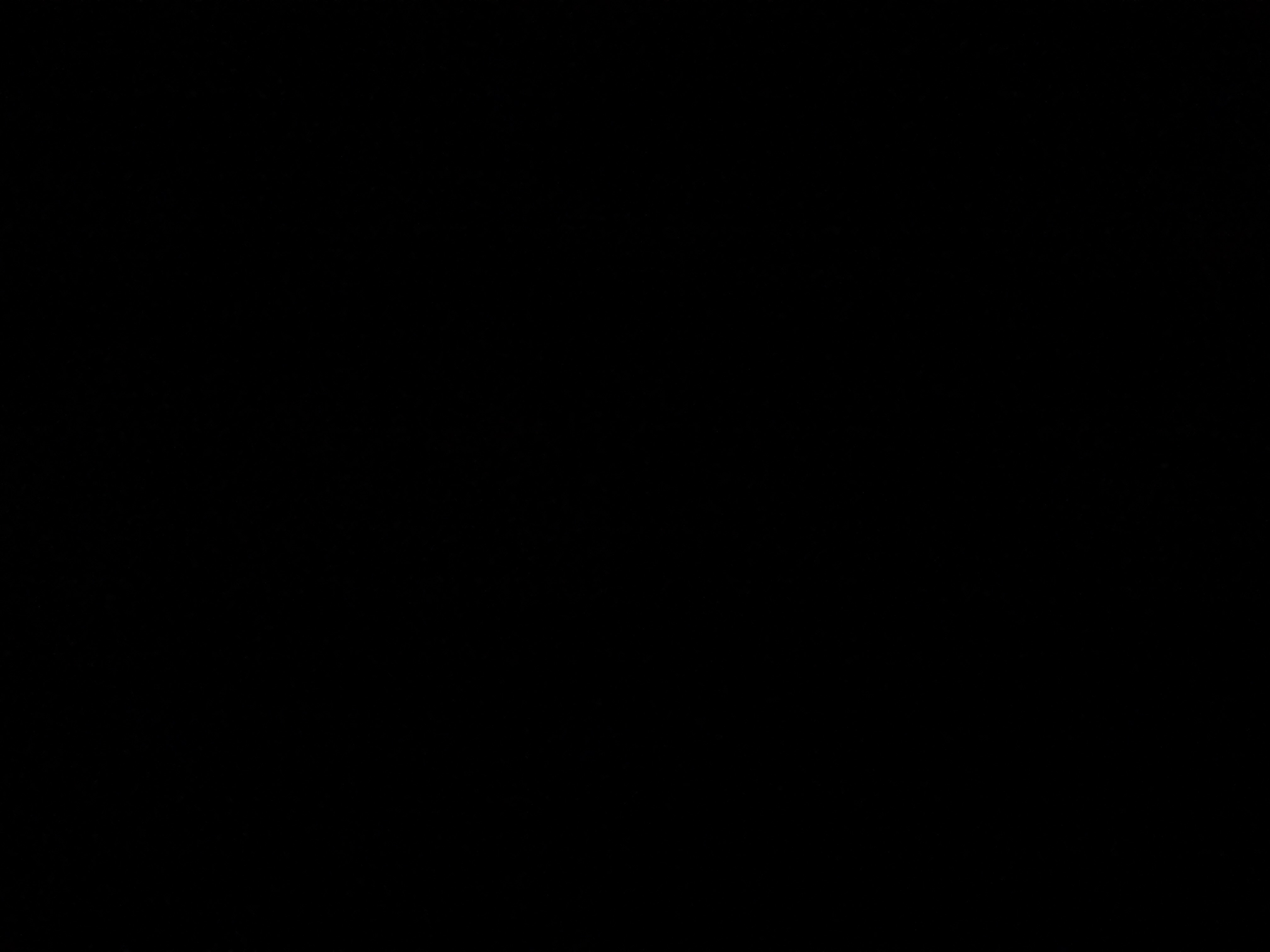 Akasqxnoir