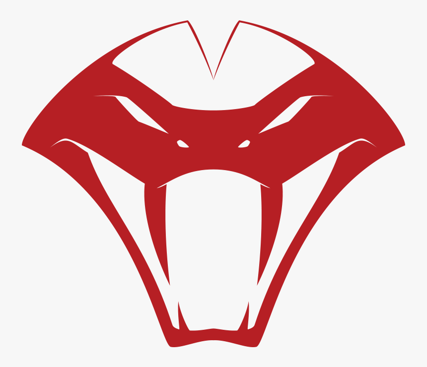 CRW ESPORTS VFE