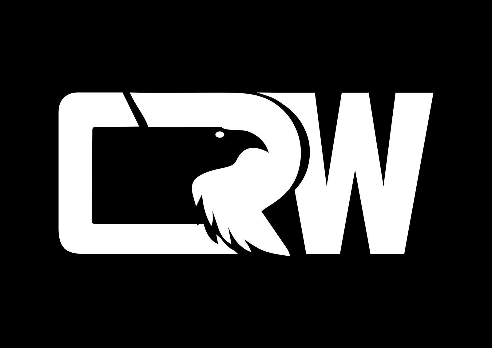CRW ESPORTS VFE