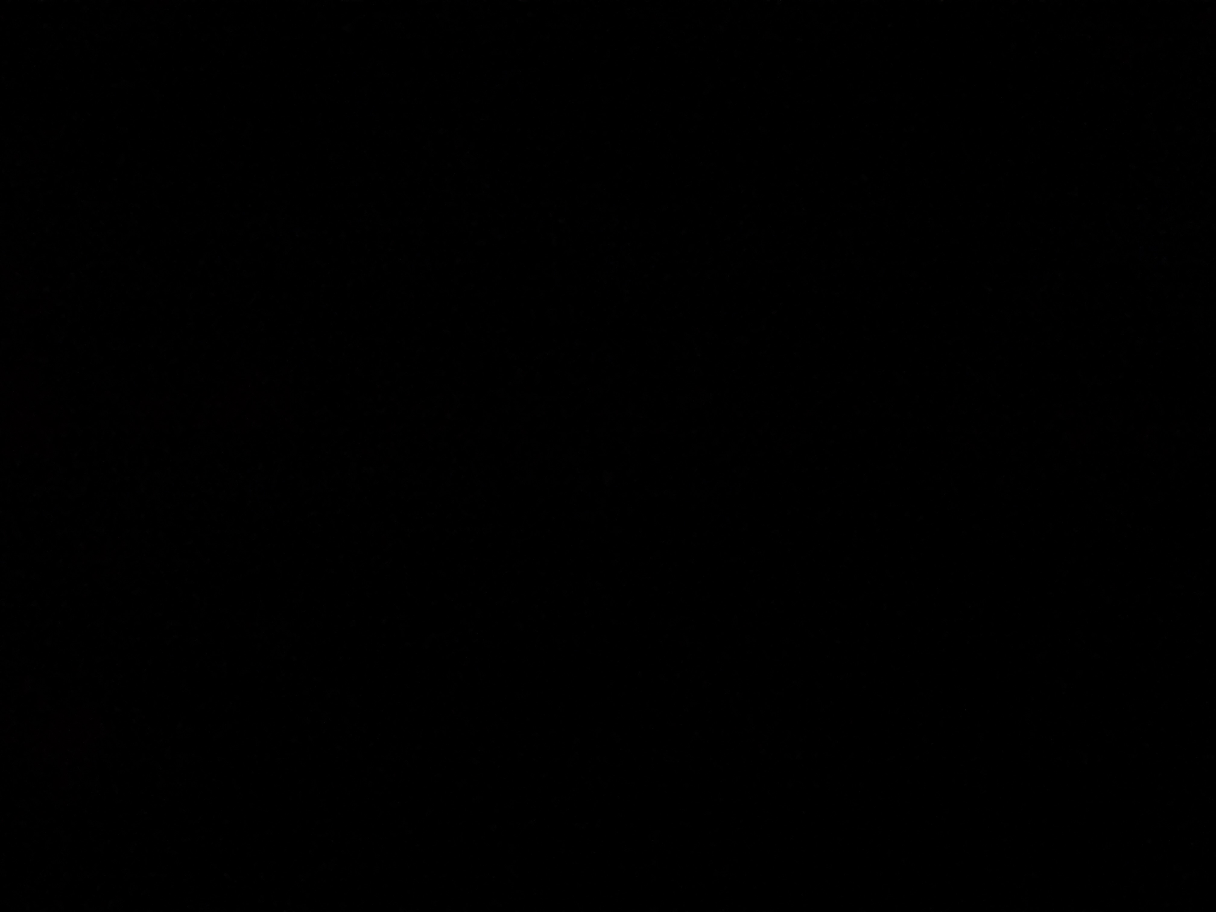 Noirxstr3ngth